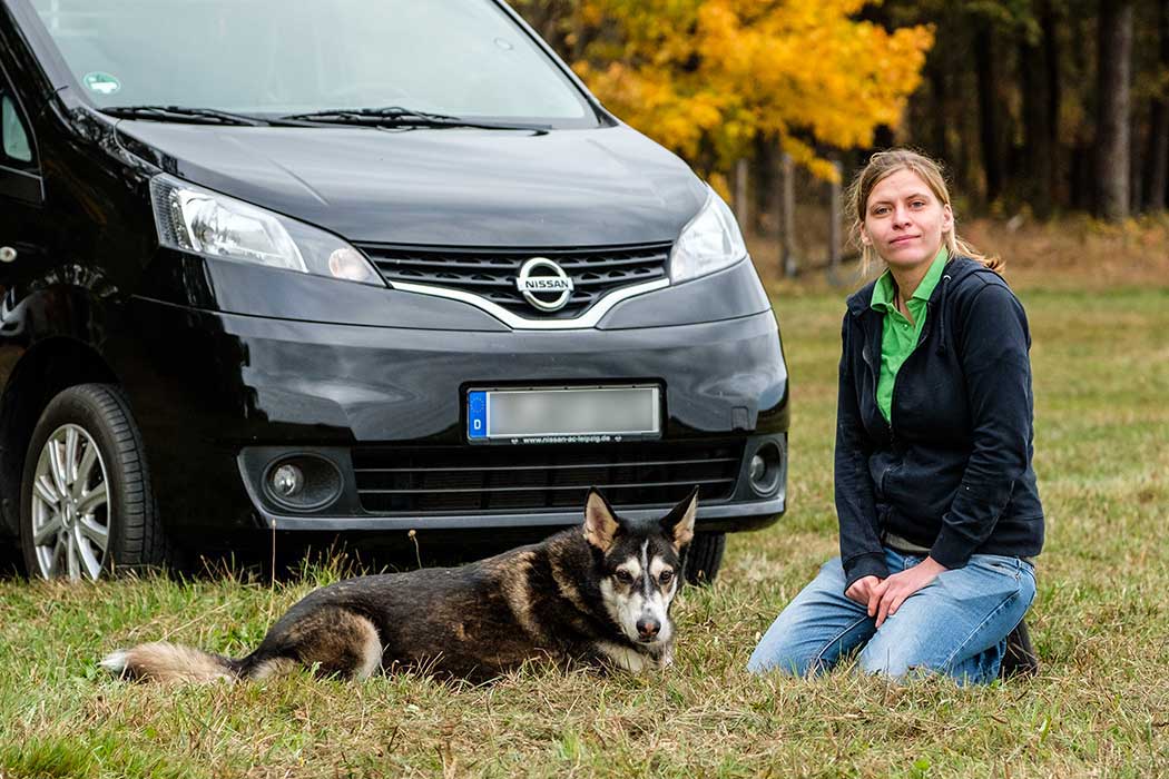 Regelmäßige Hundebetreuung